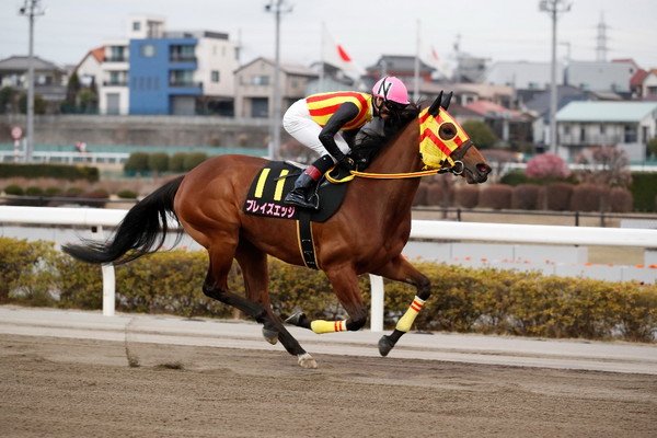 ブレイズエッジ(シリーズ第 1 戦目 桜花賞 出走時)
