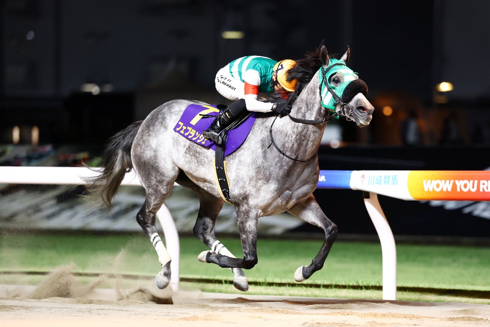 グランダム・ジャパン2025古馬 秋シーズン総合優勝馬　フェブランシェ(大井)