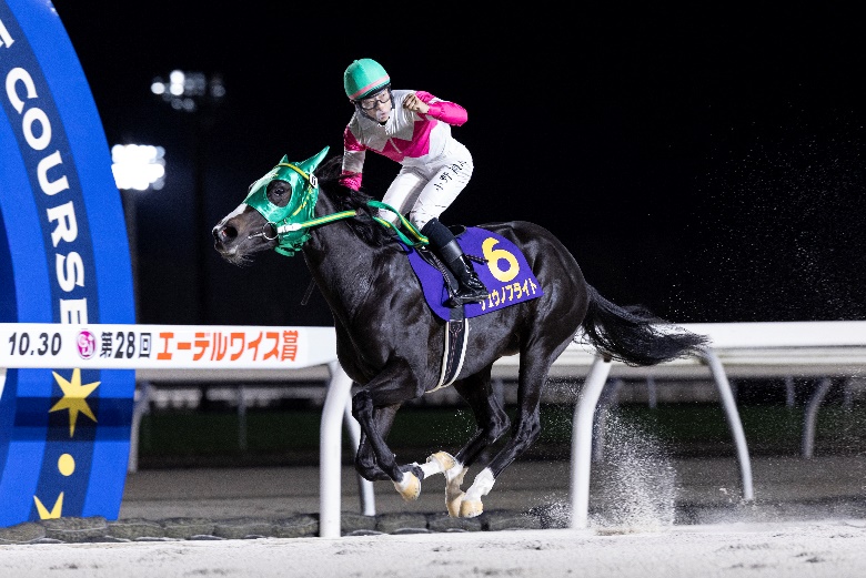 グランダム・ジャパン2025 2歳シーズン総合優勝馬　リュウノフライト(北海道)