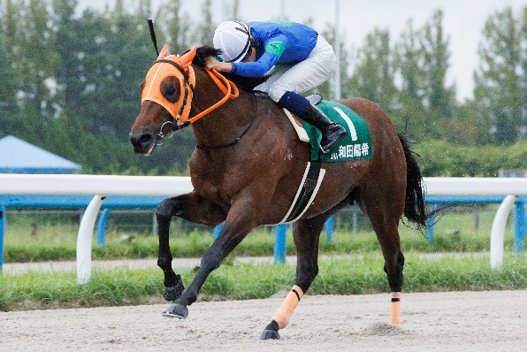 YJS TR金沢第1戦を制した和田陽希騎手(JRA)