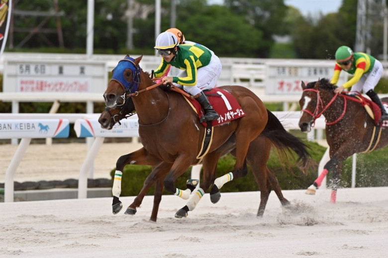 兵庫チャンピオンシップ(JpnII)　優勝馬：サトノボヤージュ